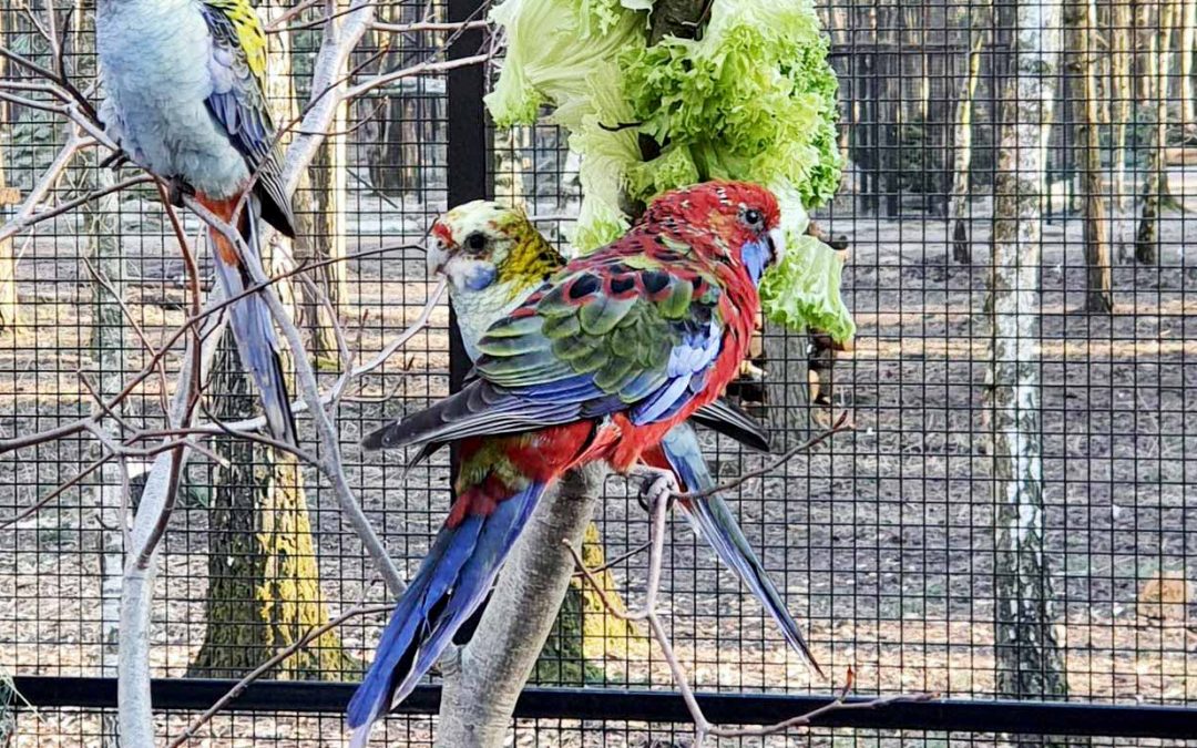 Frühjahrsputz im Tierpark