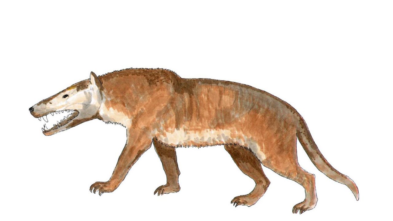 Andrewsarchus Freizeitpark Germendorf