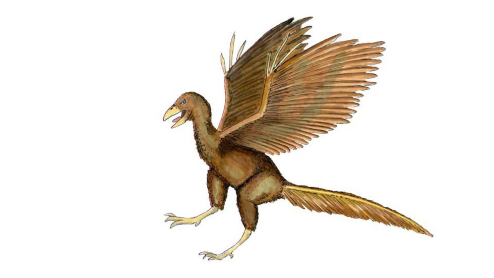 Archaeopteryx Freizeitpark Germendorf