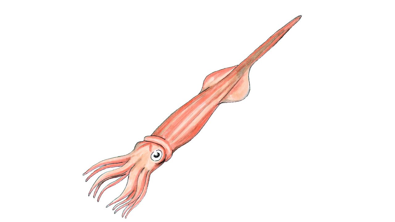 Belemniten Freizeitpark Germendorf