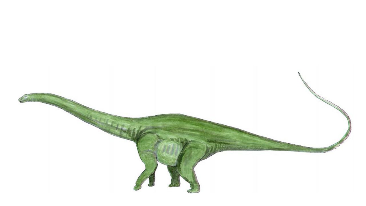 Diplodocus Freizeitpark Germendorf