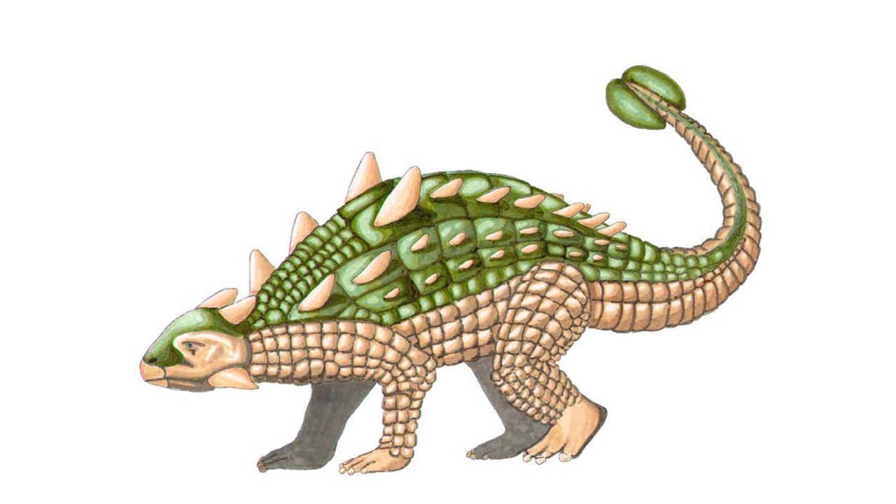 Euoplocephalus Freizeitpark Germendorf