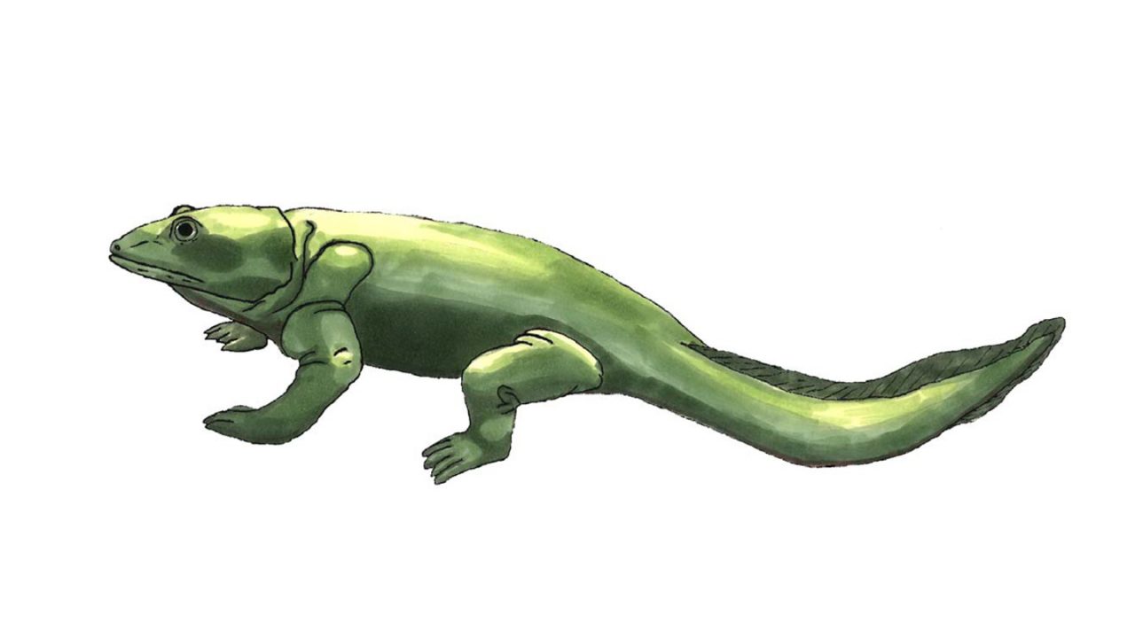 Ichthyostega Freizeitpark Germendorf