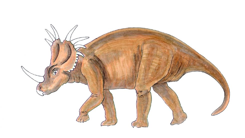 Styracosaurus Freizeitpark Germendorf