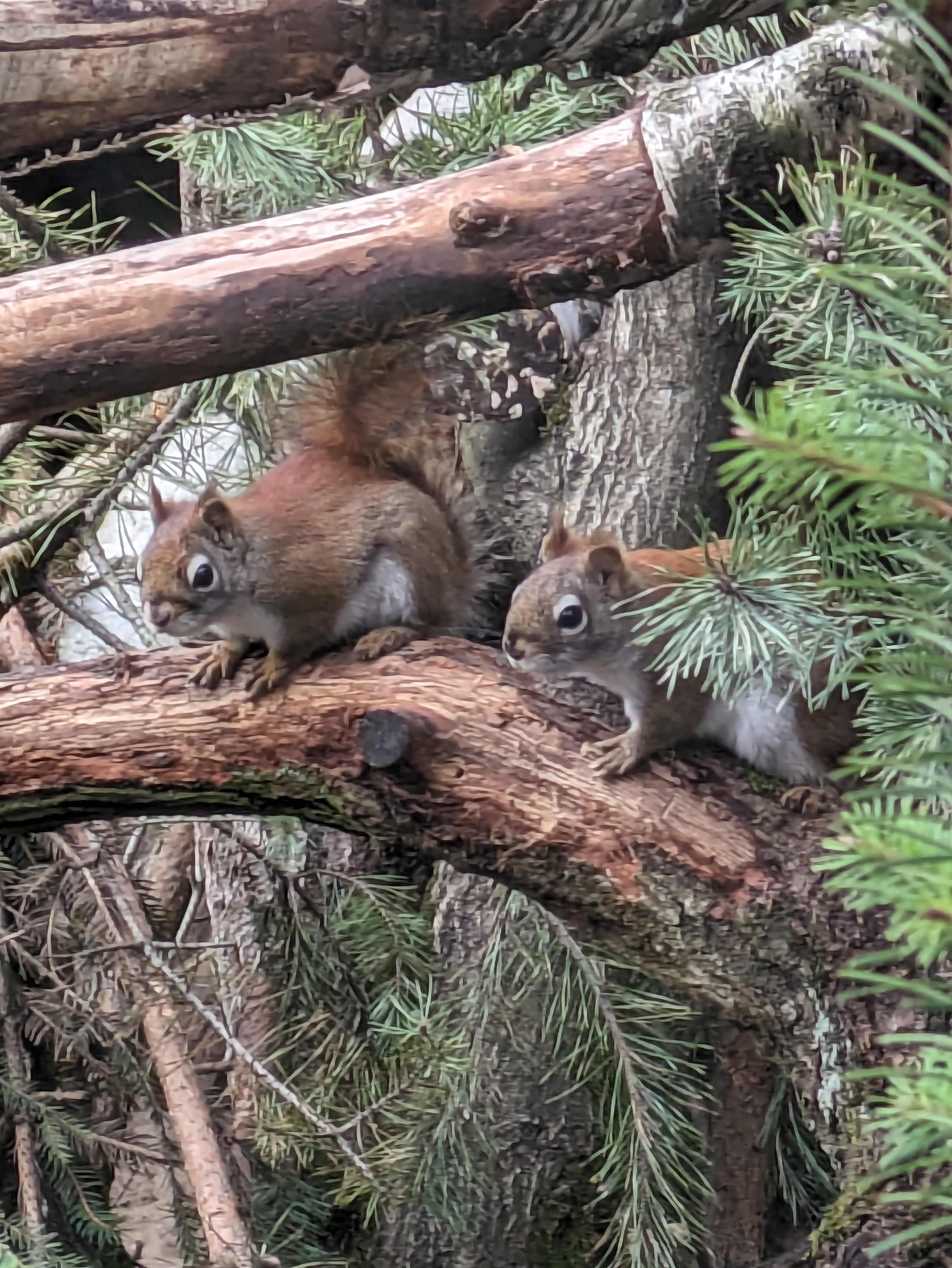 PXL_20240223_123908495