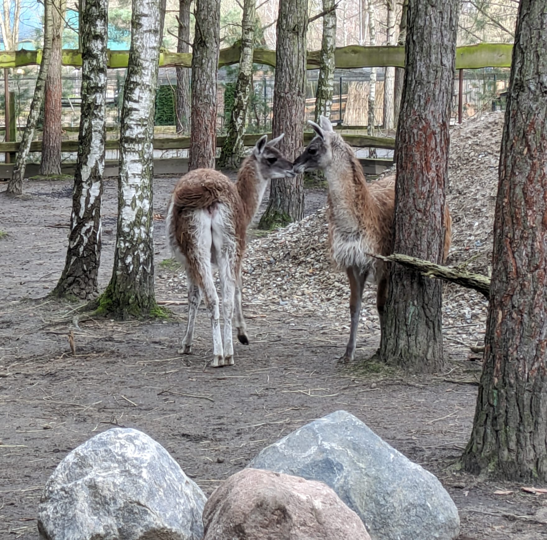 WhatsApp Image 2024-02-28 at 14.27.51