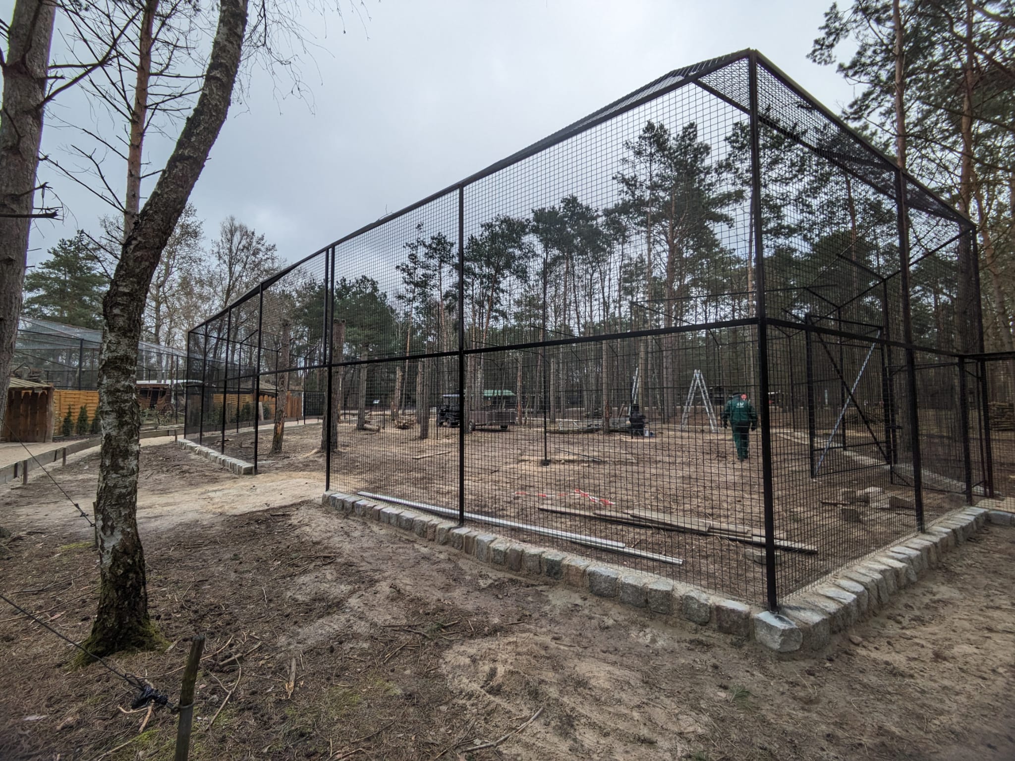 WhatsApp Image 2024-02-28 at 14.27.53