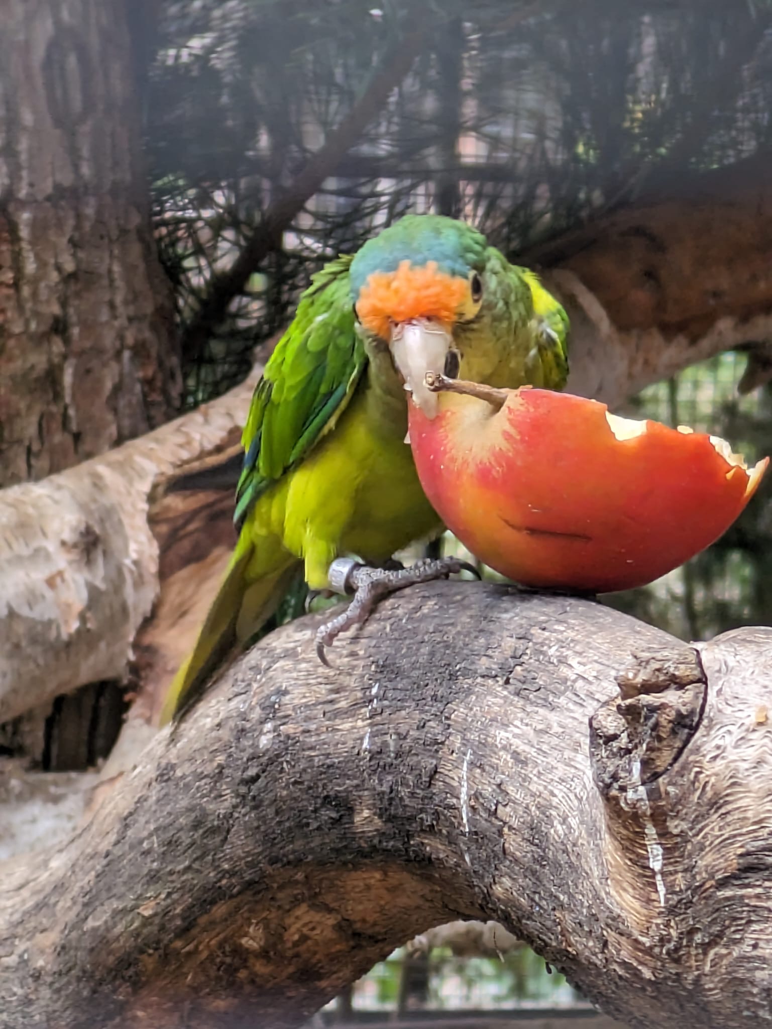 3fbb4781-11cf-4b28-aad7-6c5834198d6e