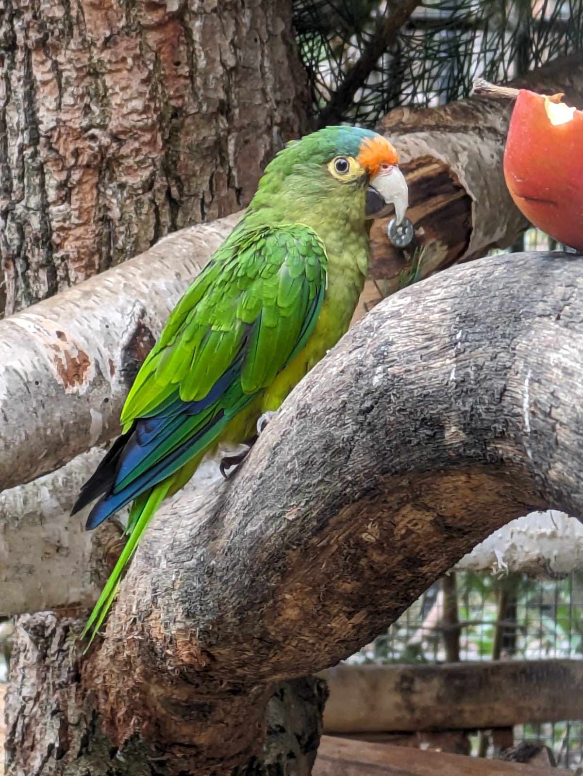 8554365f-5903-42d1-895e-b8d7ef65198d