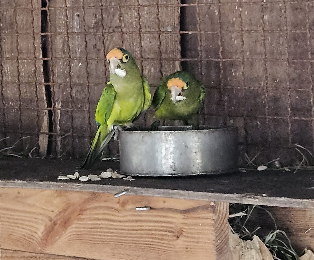 a8c3cbb0-0bdc-4c24-b191-5a1ca7a8b8f4