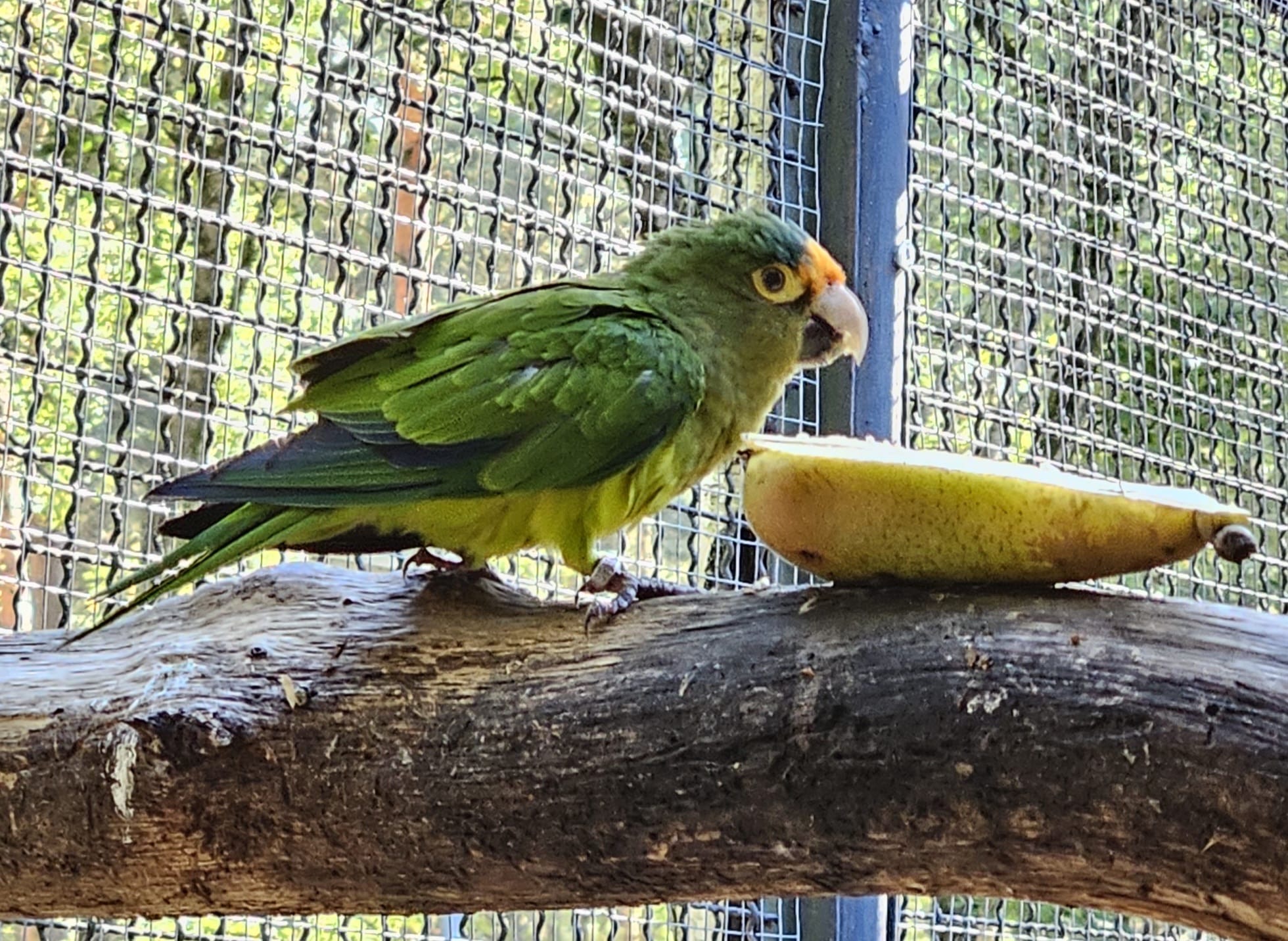 bd7b9f8d-d82e-4b4e-862c-dc1f0954b767