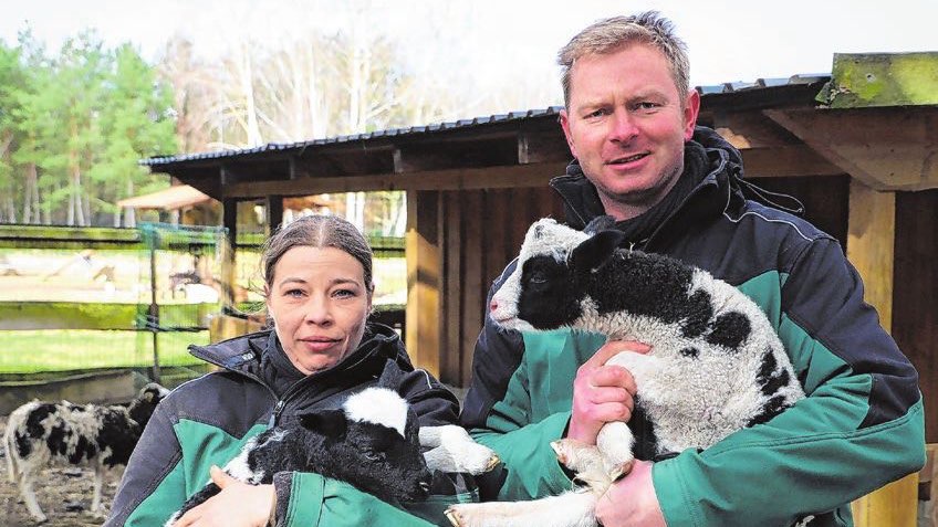 Pressemitteilung –  Tierparkleitung 11.02.2026