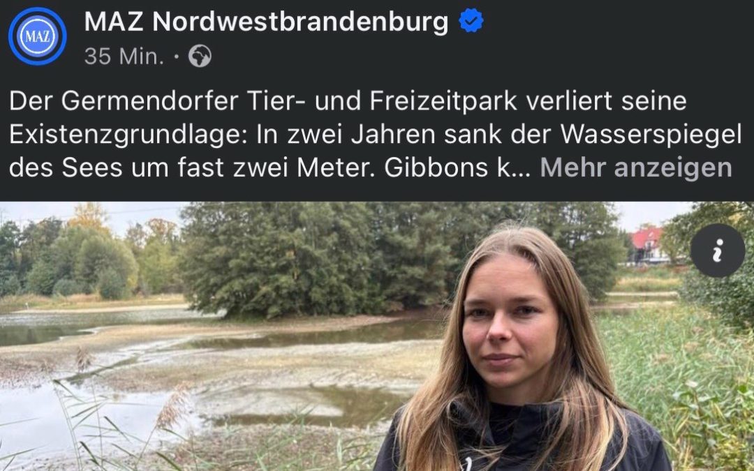 Eines möchten wir ganz klar sagen..